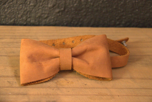 Bow Tie